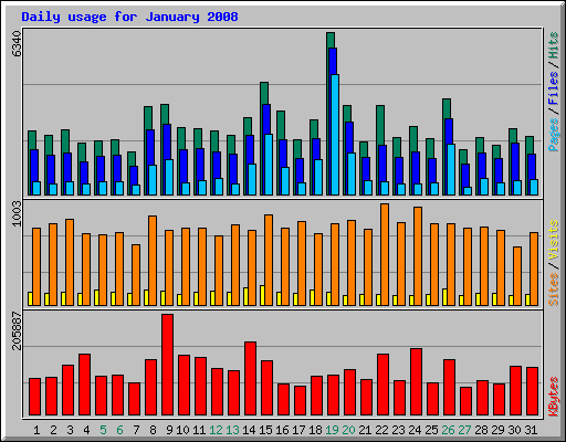 Daily usage for January 2008