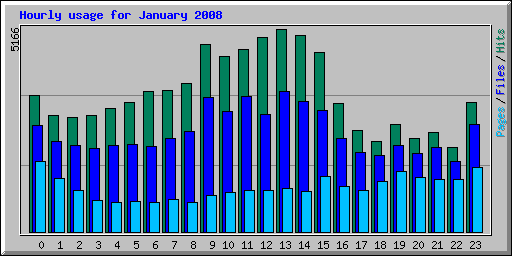 Hourly usage for January 2008