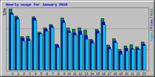Hourly usage for January 2010